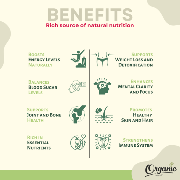 Organic Needs Moringa Powder - Image 2