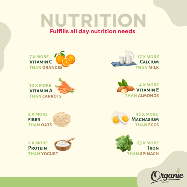 Organic Needs Moringa Powder - Image 3